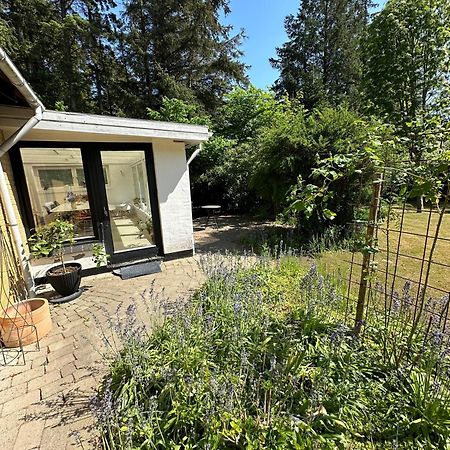 Large Room With Balcony At The Edge Of The Forest 루켄 외부 사진