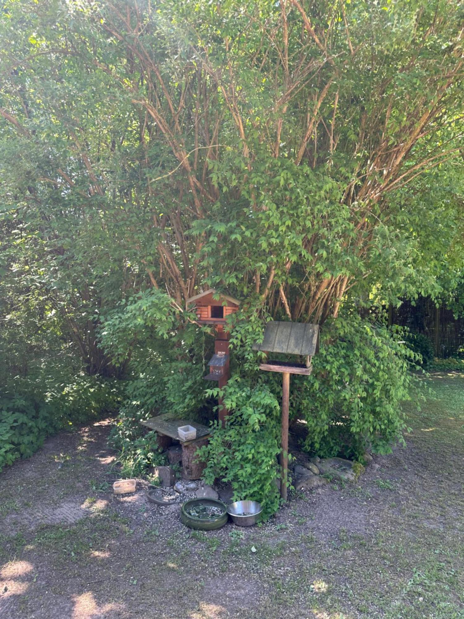 Large Room With Balcony At The Edge Of The Forest 루켄 외부 사진